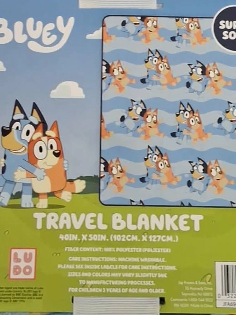 N/A bluey blanket